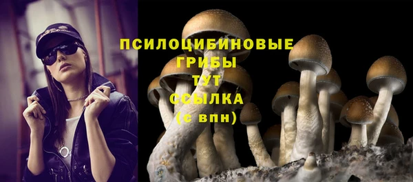 сатива Алексеевка