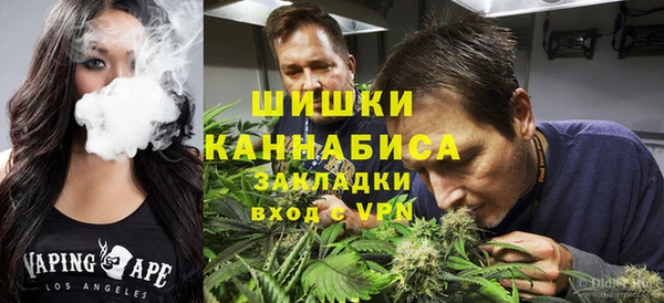 сатива Алексеевка