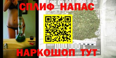 стаф Волгодонск
