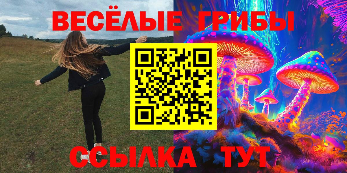 где купить наркоту  Псилоцибиновые грибы GOLDEN TEACHER  Галлюциногенные грибы Cubensis  Вход с VPN  Междуреченск 